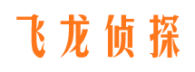 文县市侦探公司